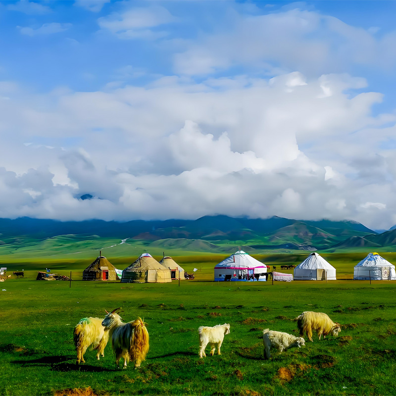 画板 1 拷贝 5-1.jpg