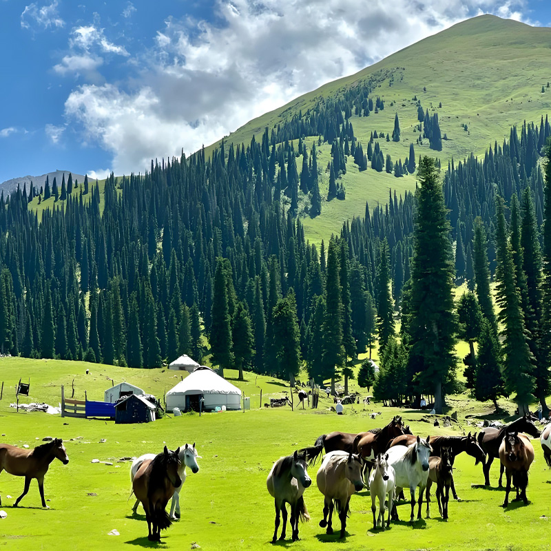 画板 1 拷贝 5.jpg