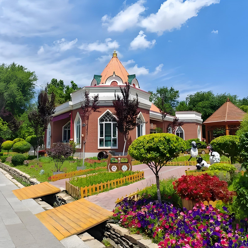 画板 1 拷贝 4-1.jpg