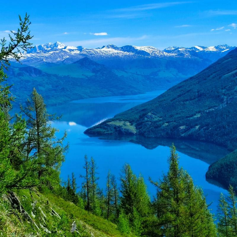 画板 1 拷贝 3.jpg