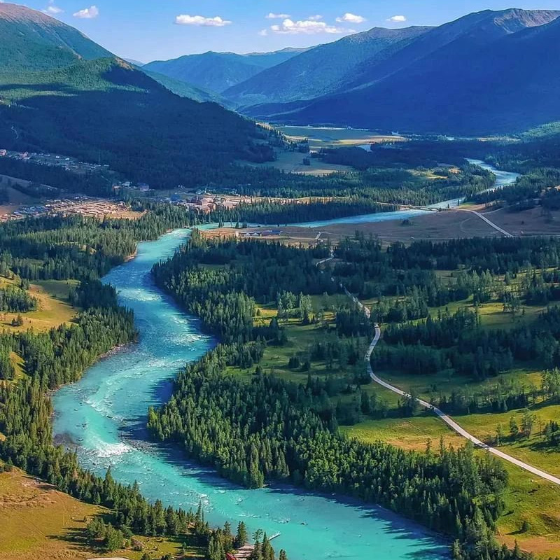 画板 1 拷贝 2-1.jpg