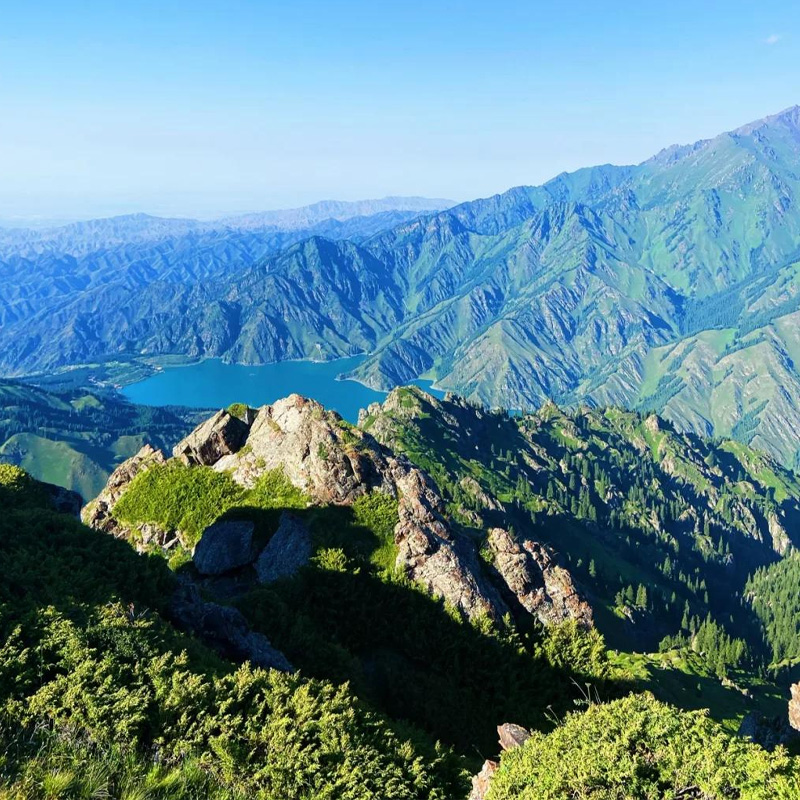 画板 1 拷贝 2.jpg