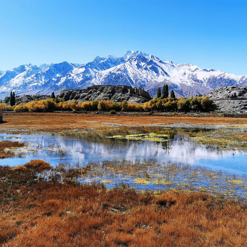 画板 1.jpg 画板 1.jpg