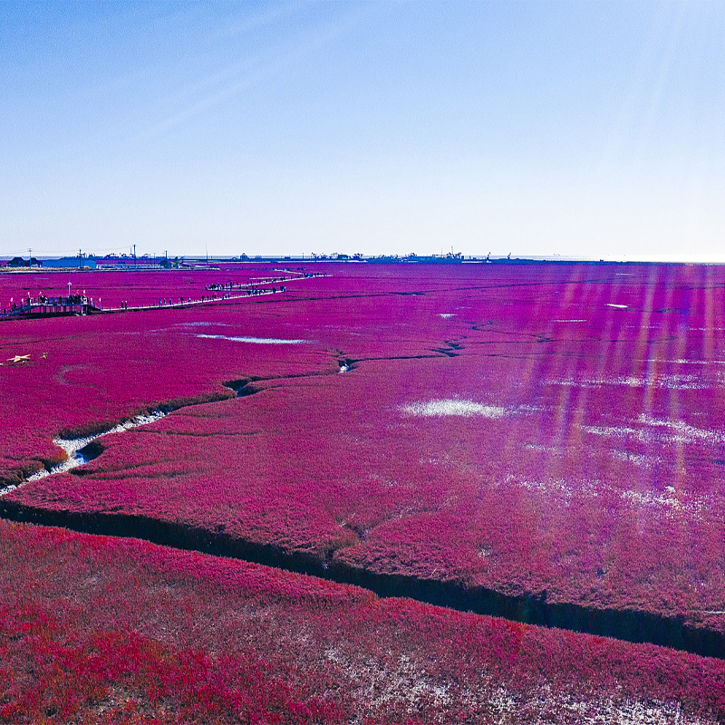 画板 1 拷贝 3.jpg 画板 1 拷贝 3.jpg