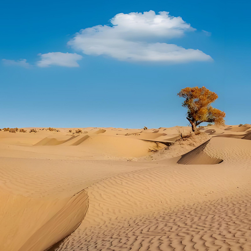 画板 1 拷贝 5-1.jpg 画板 1 拷贝 5-1.jpg