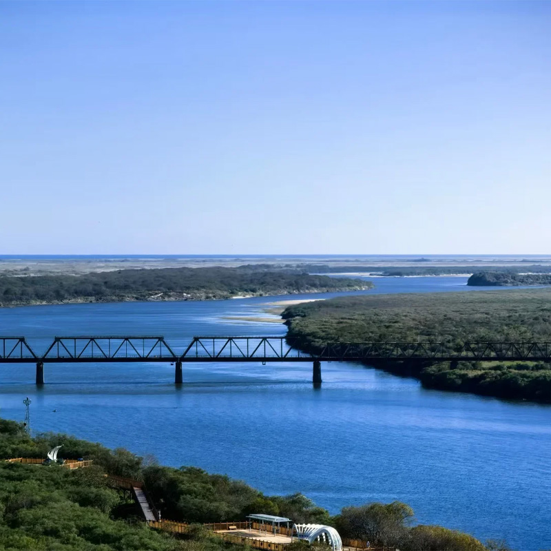 画板 1 拷贝 4.jpg 画板 1 拷贝 4.jpg