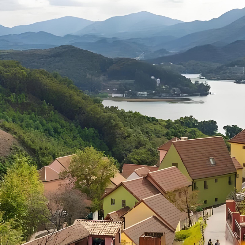 画板 1 拷贝 3.jpg 画板 1 拷贝 3.jpg