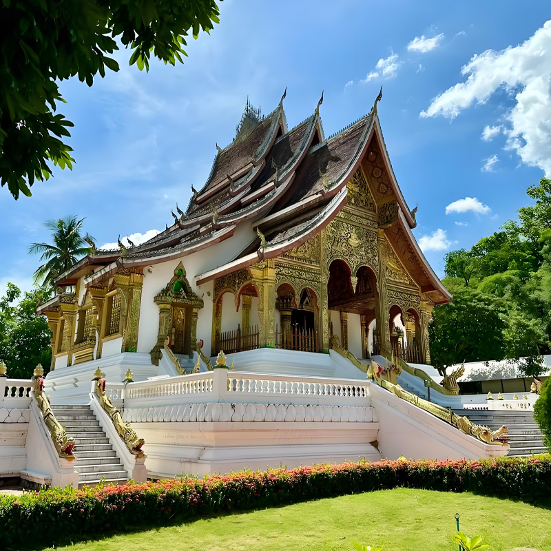 画板 1 拷贝 3.jpg