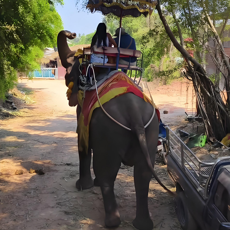 画板 1 拷贝 5.jpg 画板 1 拷贝 5.jpg