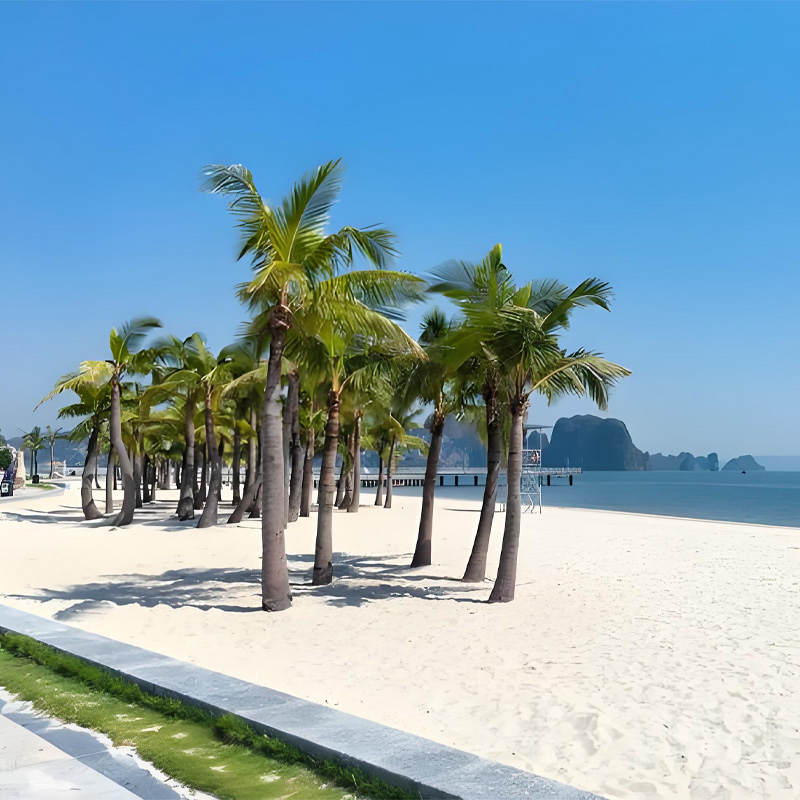 画板 1 拷贝 3-1.jpg 画板 1 拷贝 3-1.jpg