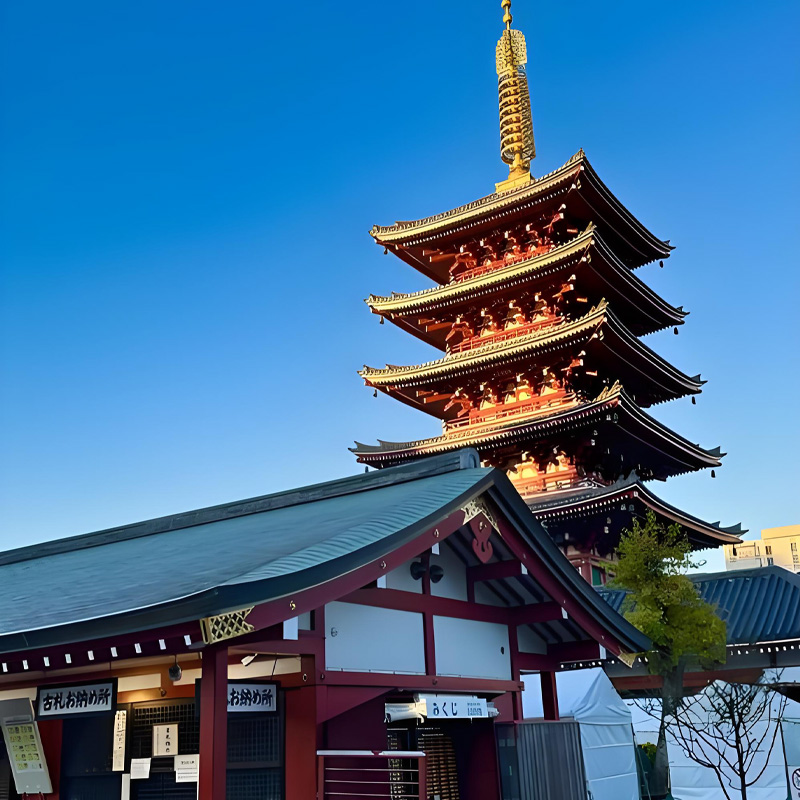 画板 1 拷贝 3-1.jpg