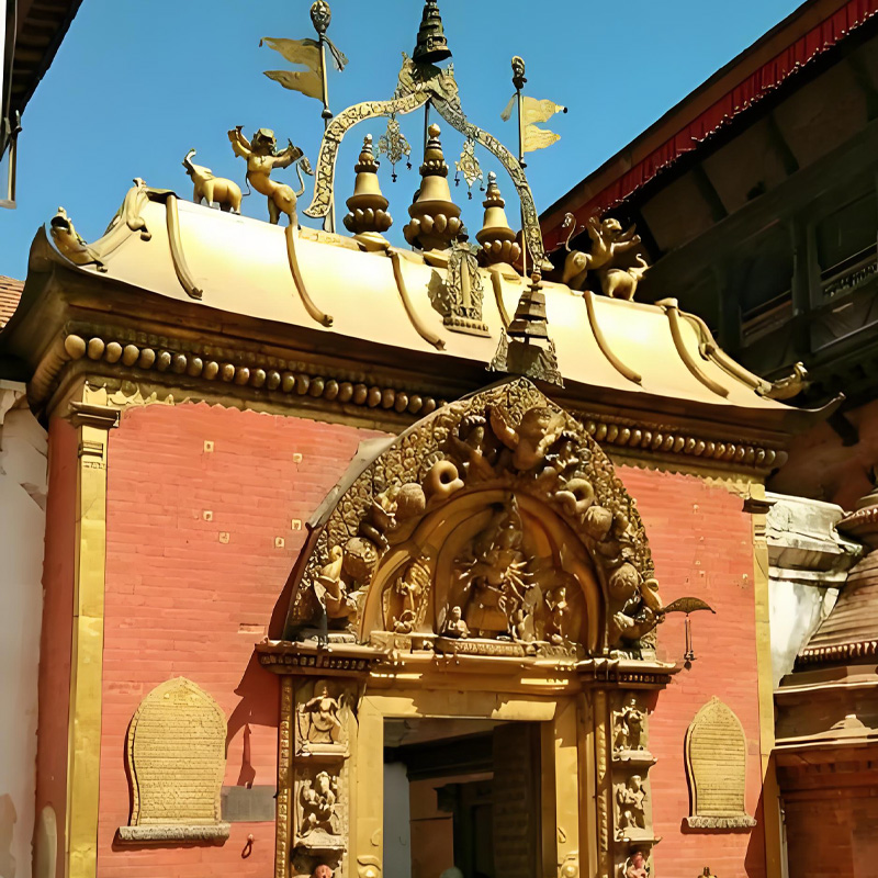 画板 1 拷贝 5.jpg 画板 1 拷贝 5.jpg