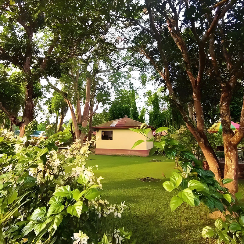 画板 1 拷贝 2.jpg 画板 1 拷贝 2.jpg