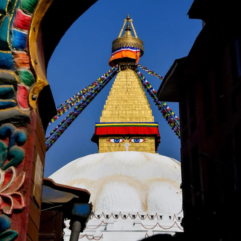 画板 1 拷贝 4-1.jpg 画板 1 拷贝 4-1.jpg