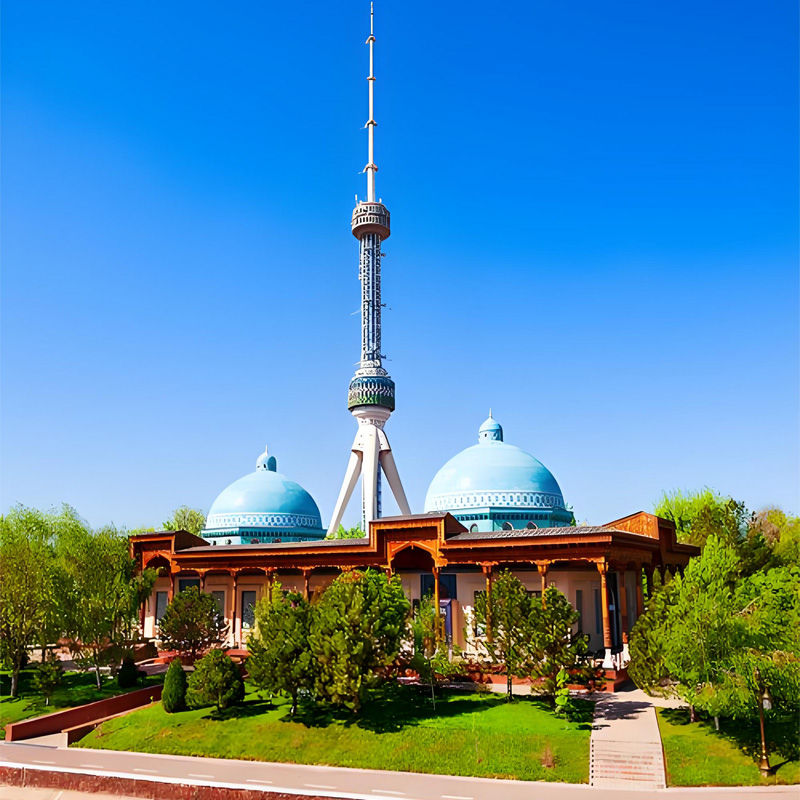 画板 1 拷贝 5.jpg 画板 1 拷贝 5.jpg