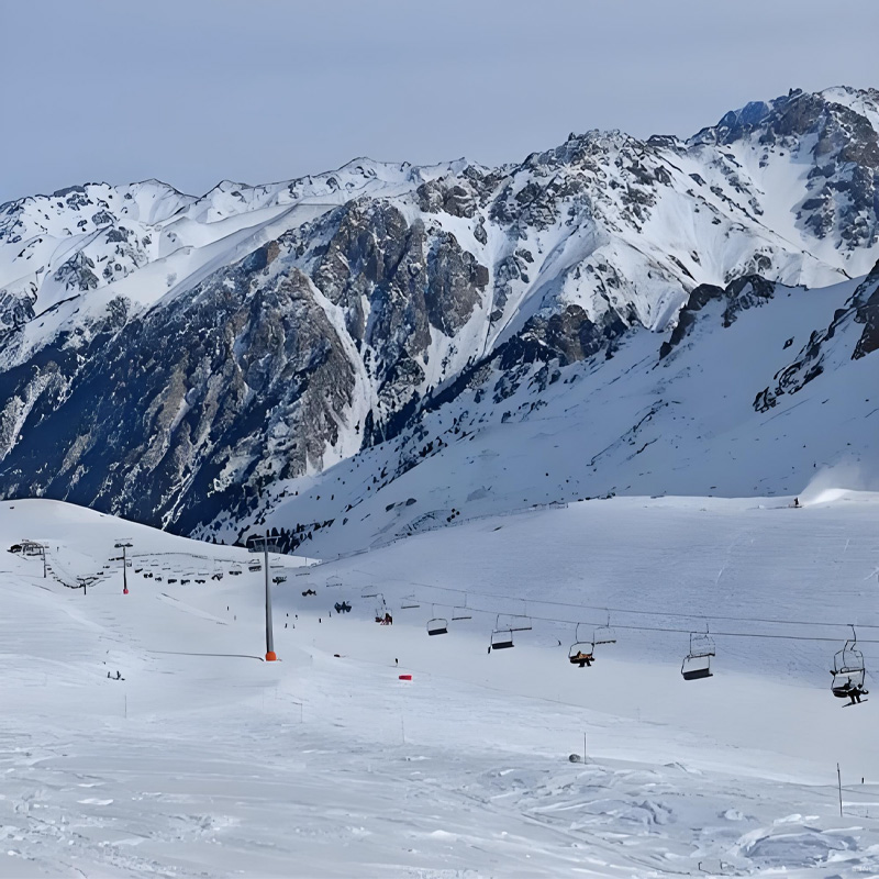 画板 1 拷贝 2-1.jpg 画板 1 拷贝 2-1.jpg