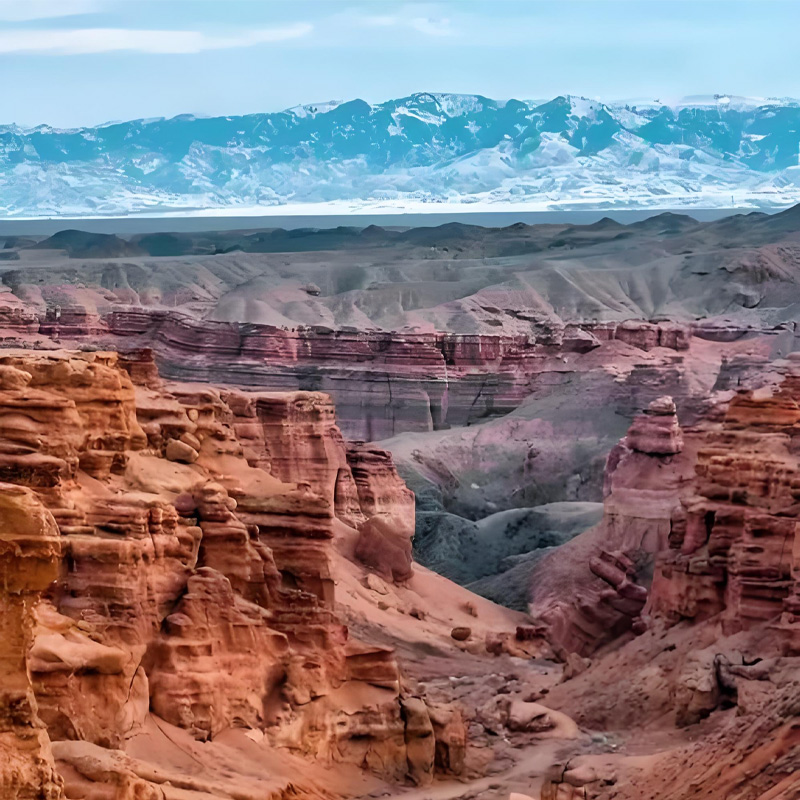 画板 1 拷贝 2.jpg 画板 1 拷贝 2.jpg