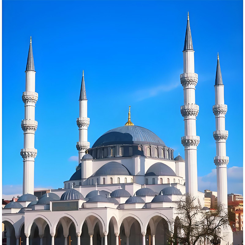 画板 1 拷贝 2.jpg 画板 1 拷贝 2.jpg