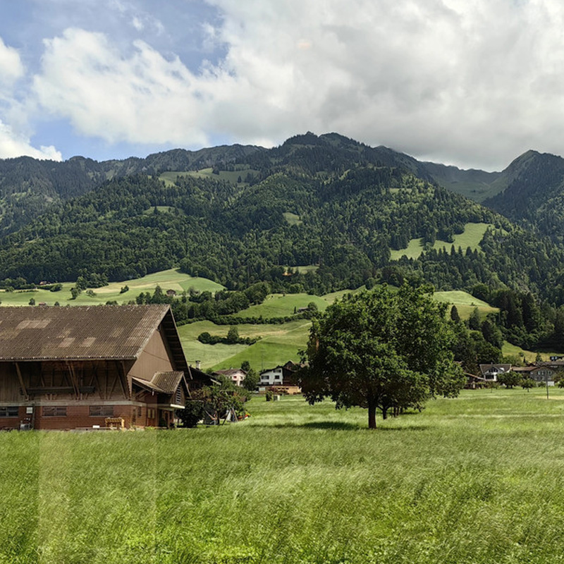 画板 1 拷贝 7.jpg 画板 1 拷贝 7.jpg