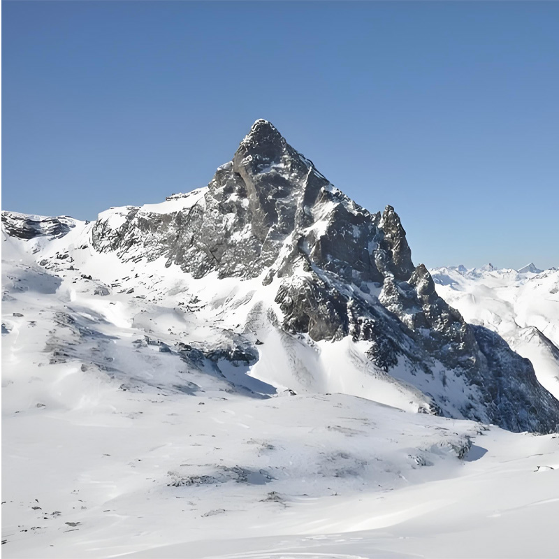 画板 1 拷贝 5.jpg 画板 1 拷贝 5.jpg