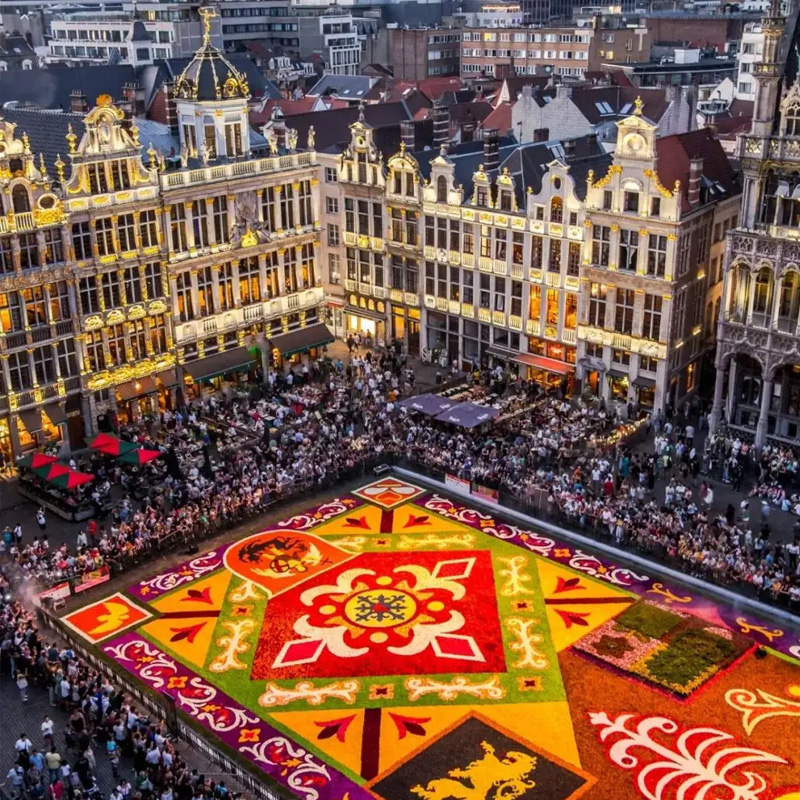 画板 1.jpg 画板 1.jpg