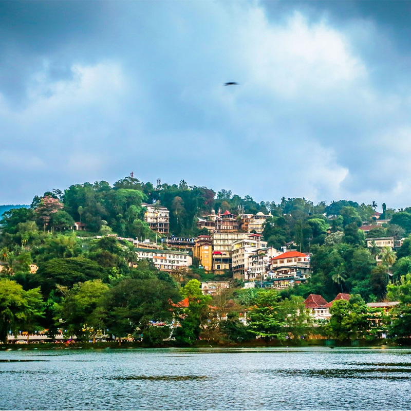 画板 1 拷贝 2-1.jpg 画板 1 拷贝 2-1.jpg