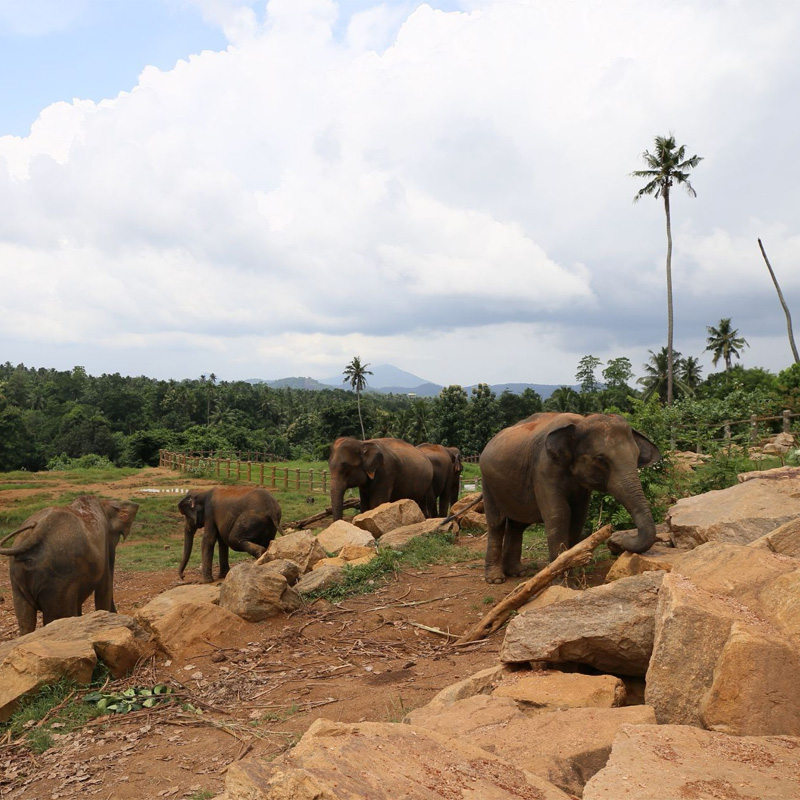 画板 1 拷贝 2.jpg 画板 1 拷贝 2.jpg