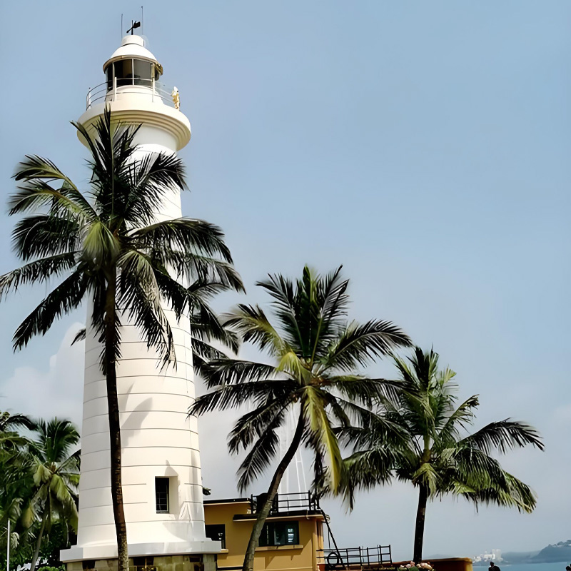 画板 1.jpg 画板 1.jpg