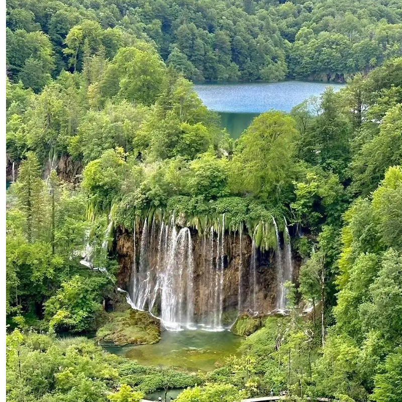 画板 1 拷贝 4.jpg