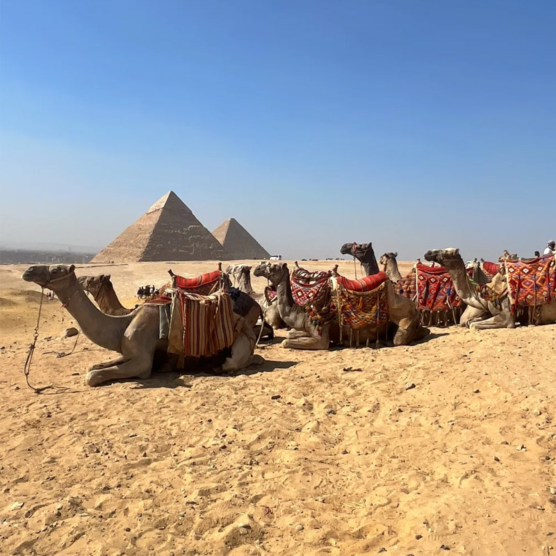 画板 1 拷贝.jpg 画板 1 拷贝.jpg