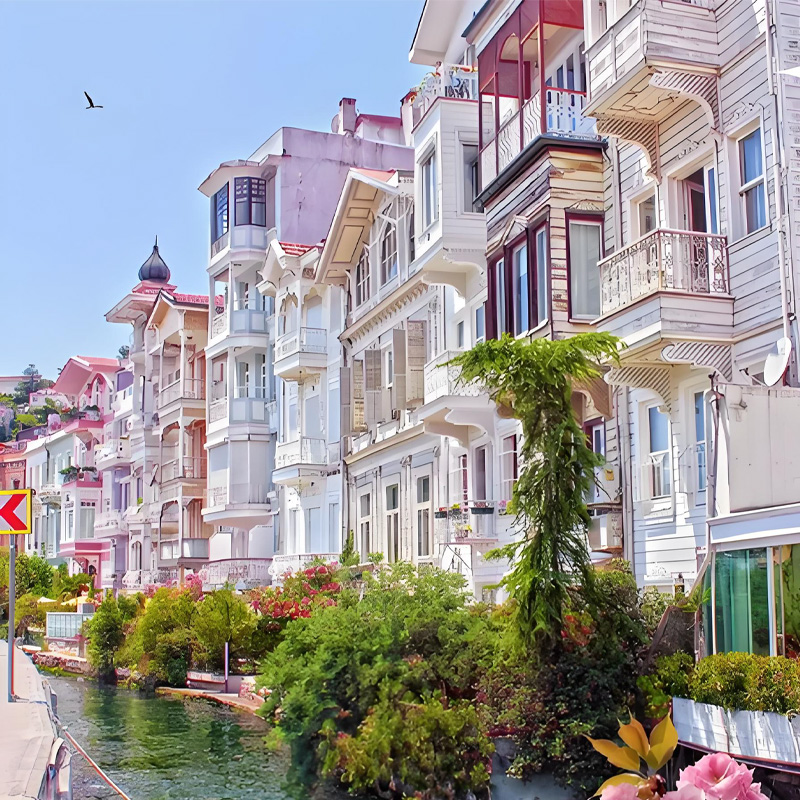 画板 1 拷贝 7.jpg 画板 1 拷贝 7.jpg