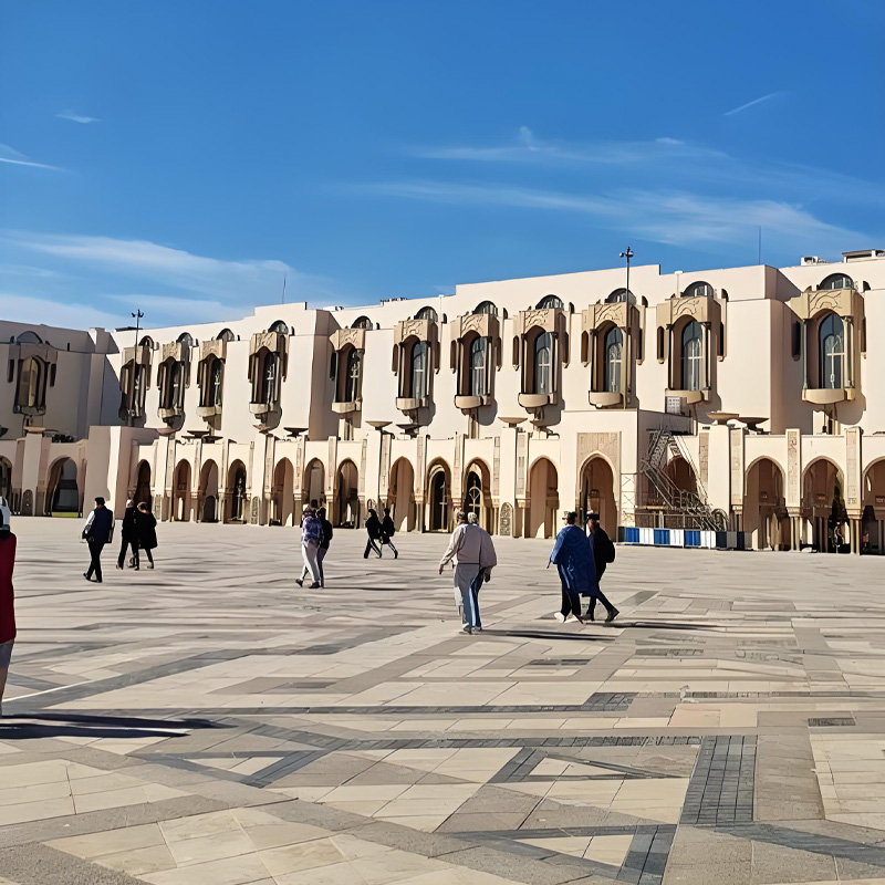 画板 1 拷贝 2.jpg 画板 1 拷贝 2.jpg