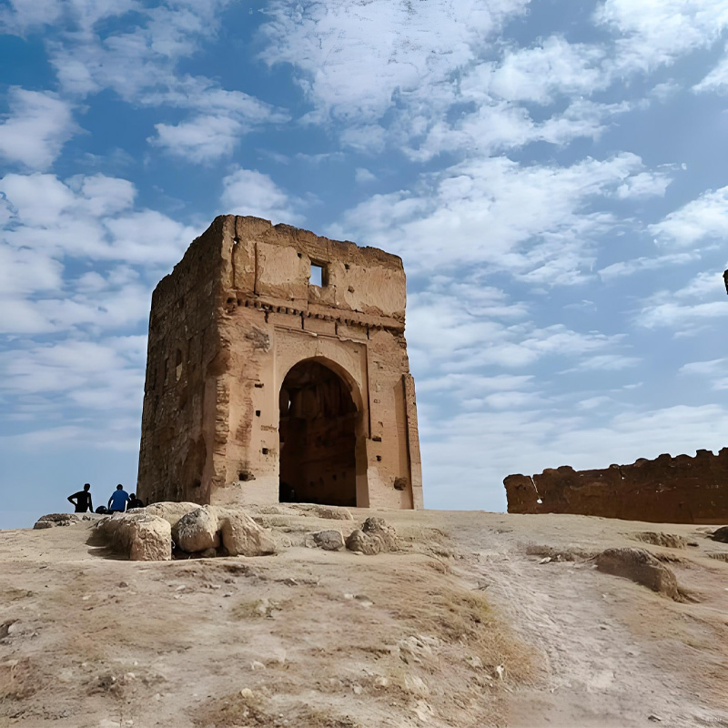 画板 1 拷贝 3.jpg 画板 1 拷贝 3.jpg