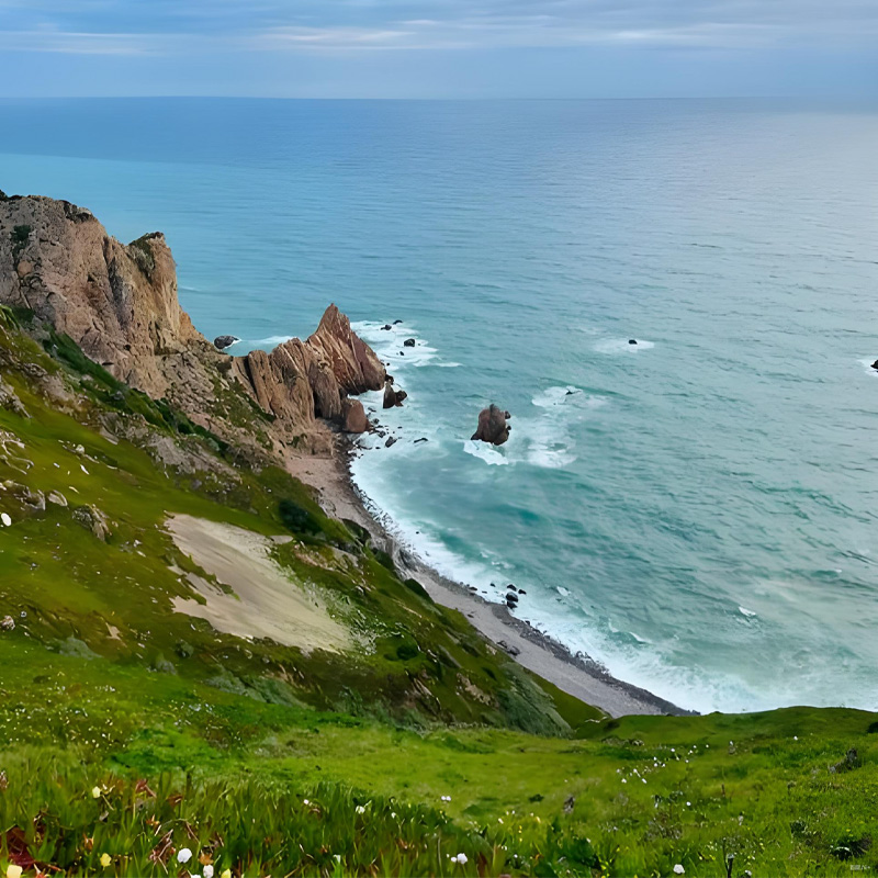 画板 1 拷贝 5-2.jpg 画板 1 拷贝 5-2.jpg