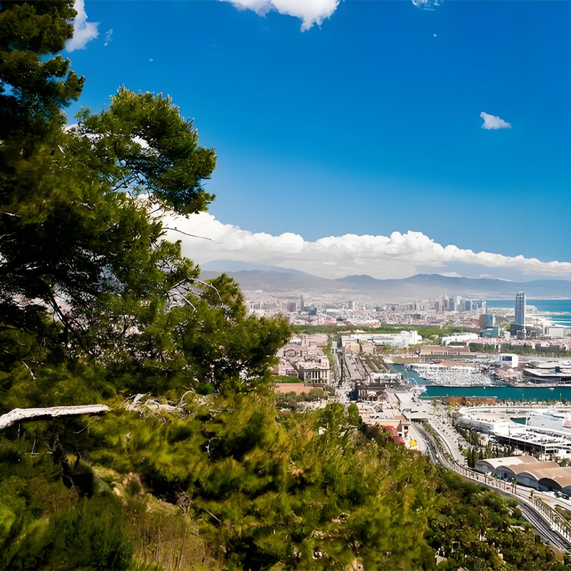 画板 1 拷贝 8.jpg 画板 1 拷贝 8.jpg