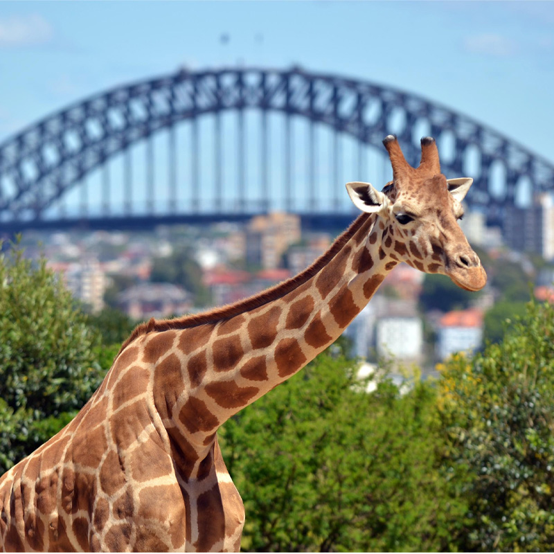 画板 1 拷贝 2-1.jpg