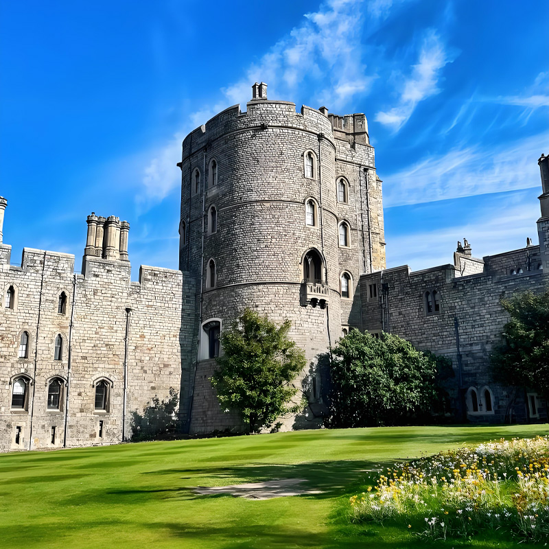 画板 1 拷贝 2.jpg 画板 1 拷贝 2.jpg