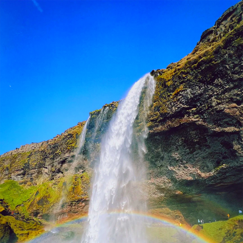 画板 1 拷贝 5.jpg