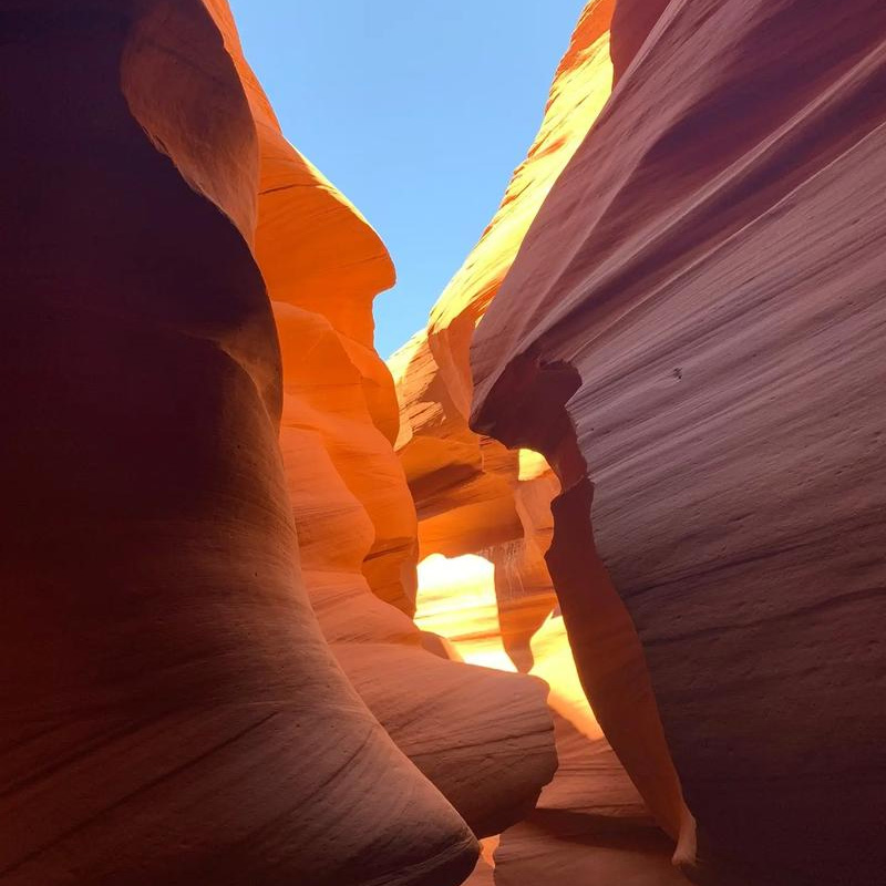 画板 1 拷贝 5-1.jpg 画板 1 拷贝 5-1.jpg