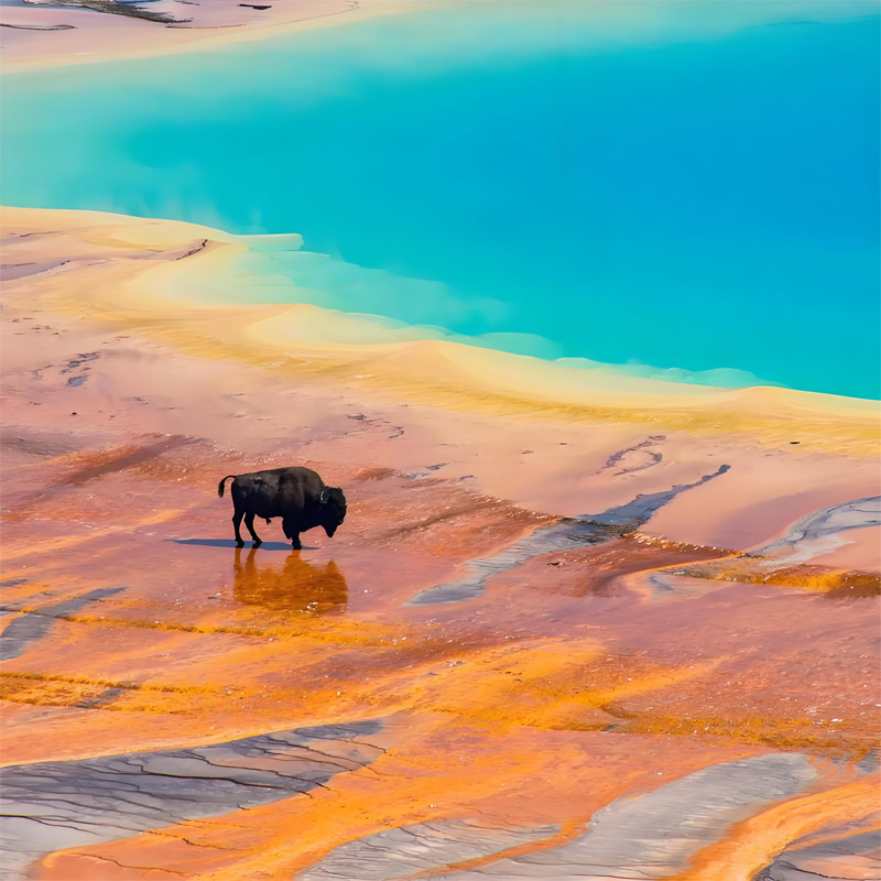 画板 1 拷贝 7.jpg 画板 1 拷贝 7.jpg