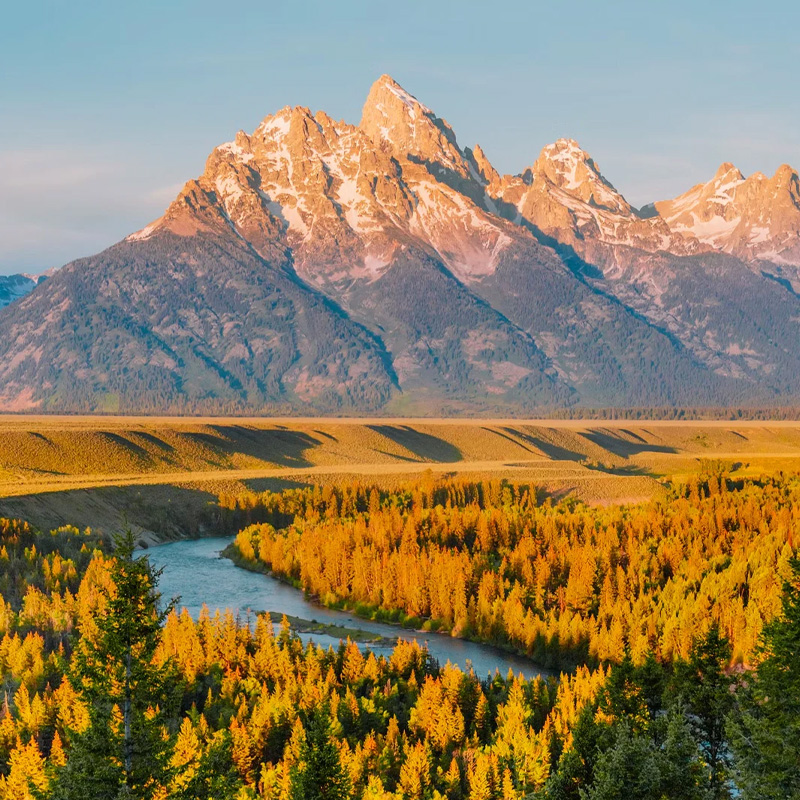 画板 1 拷贝 7-1.jpg 画板 1 拷贝 7-1.jpg