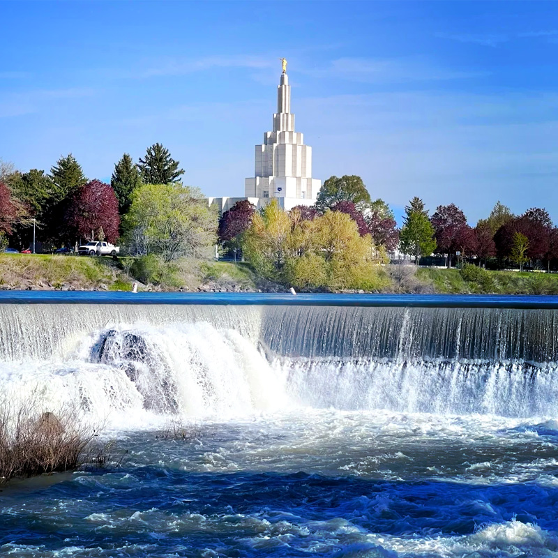 画板 1 拷贝 8.jpg 画板 1 拷贝 8.jpg