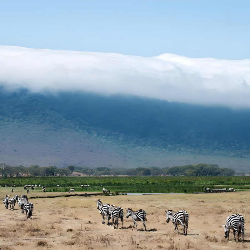 画板 1.jpg 画板 1.jpg