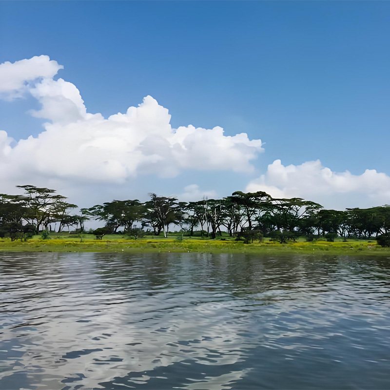 画板 1 拷贝 2-1.jpg 画板 1 拷贝 2-1.jpg