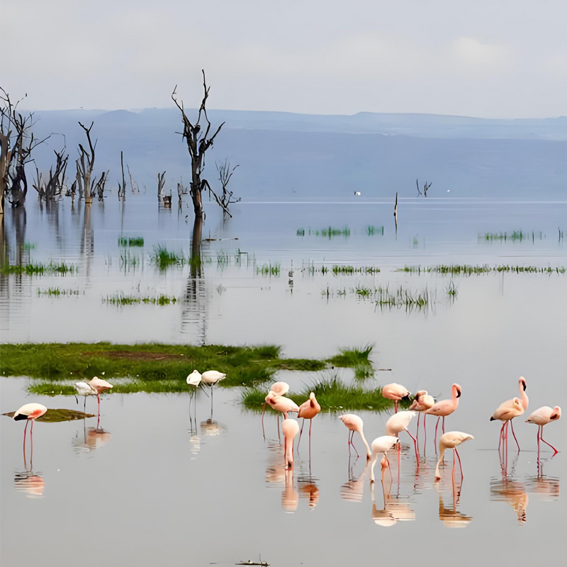 画板 1 拷贝 3-1.jpg 画板 1 拷贝 3-1.jpg