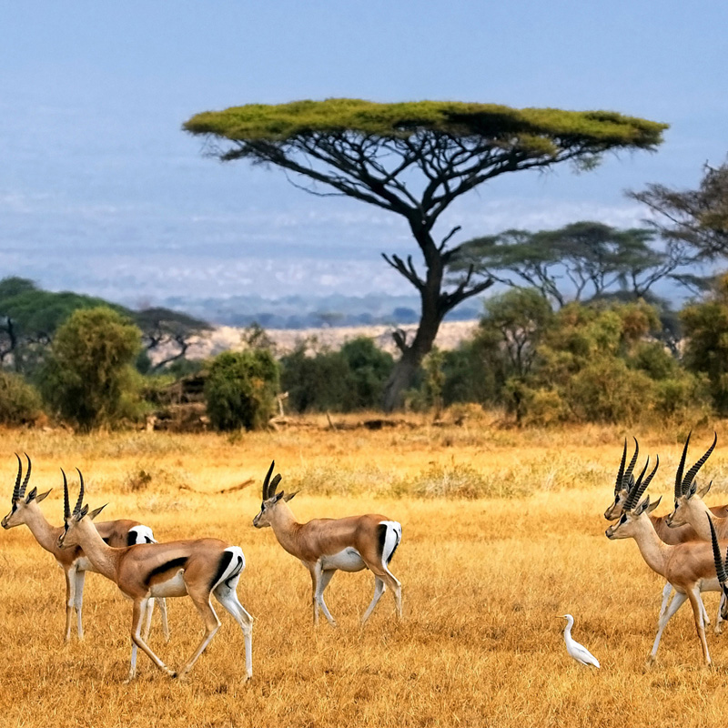 画板 1 拷贝 4.jpg 画板 1 拷贝 4.jpg