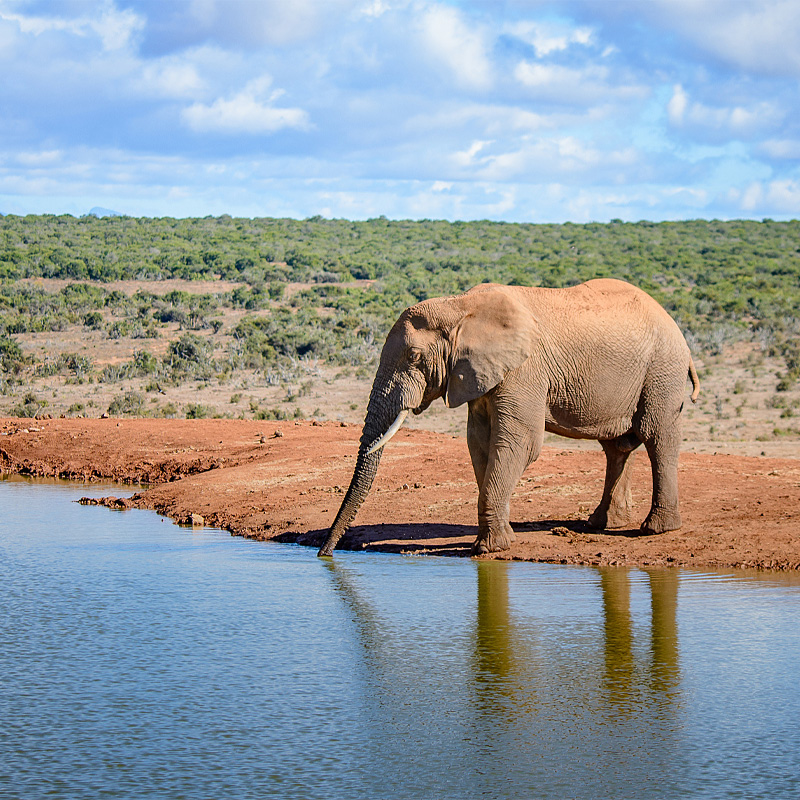 画板 1 拷贝 5-1.jpg 画板 1 拷贝 5-1.jpg