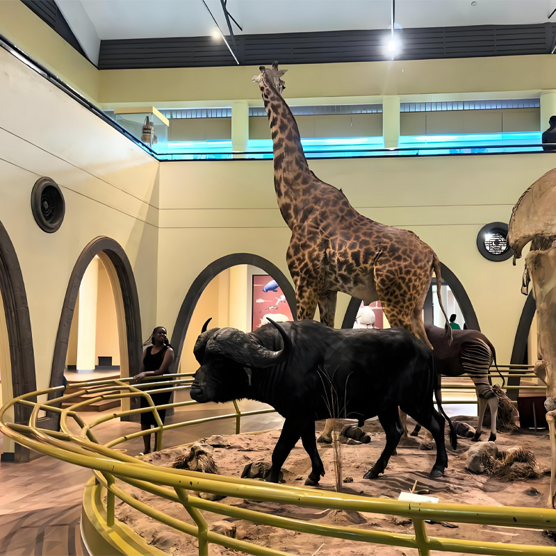 画板 1 拷贝 6.jpg 画板 1 拷贝 6.jpg