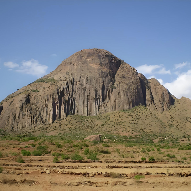 画板 1 拷贝 8.jpg