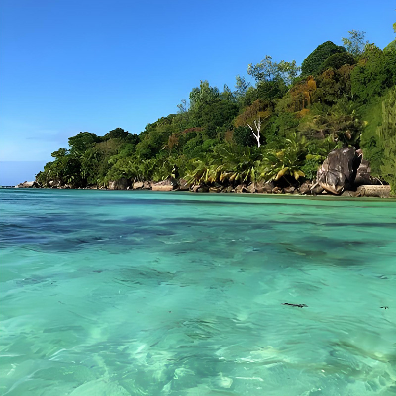 画板 1 拷贝 7-1.jpg